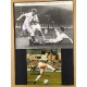 Signed picture of Brian McClair the Celtic footballer.